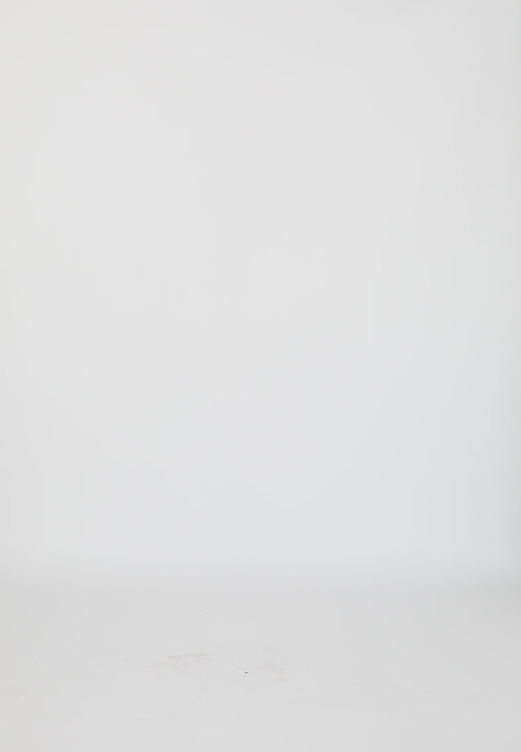 Coster Copenhagen LEO HJÄRTA TRÖJA T-Shirt White - 200