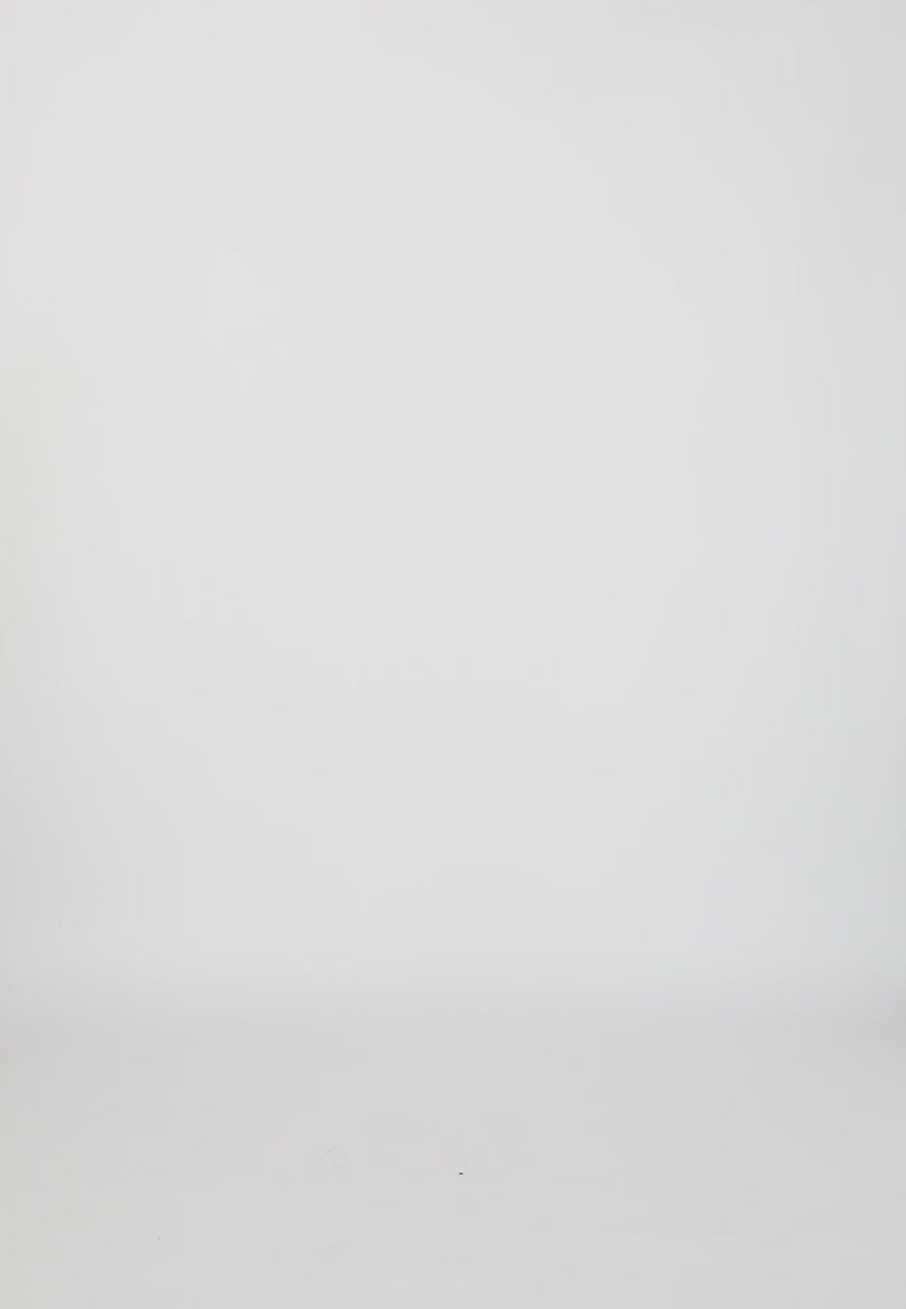 Coster Copenhagen BLUS MED VOLANGER OCH ROSETTER Shirt/Blouse Mint - 478