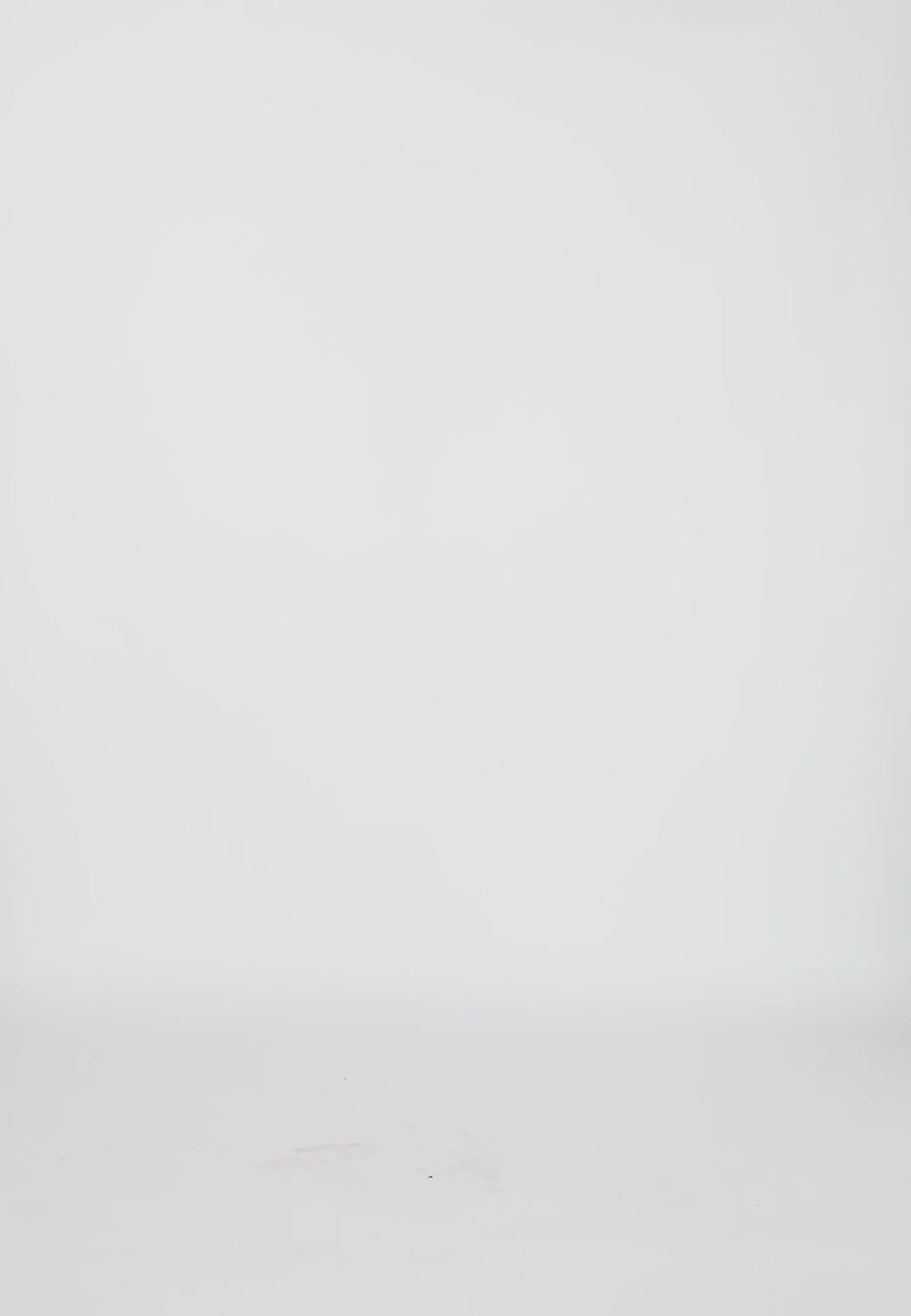 Coster Copenhagen KJOL I BRODERIE ANGLAISE Skirt Black - 100