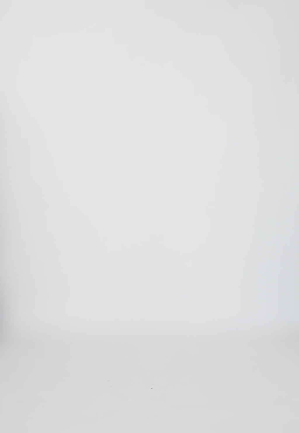 Coster Copenhagen TOPP MED BRODERI Shirt/Blouse White - 200