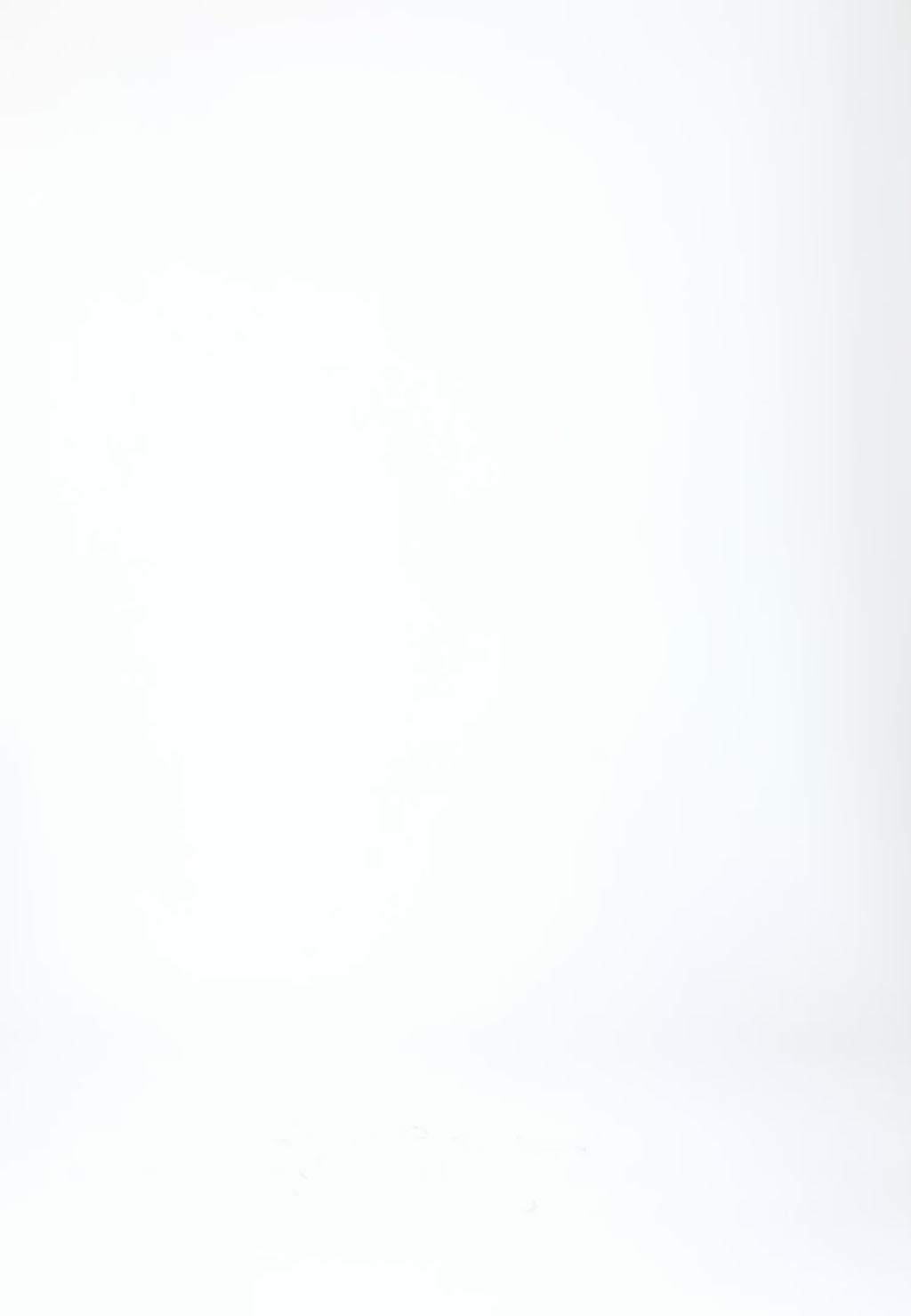 Coster Copenhagen LOGO ELASTISK BELT Accessories Dusky blue - 521 (silver buckle)