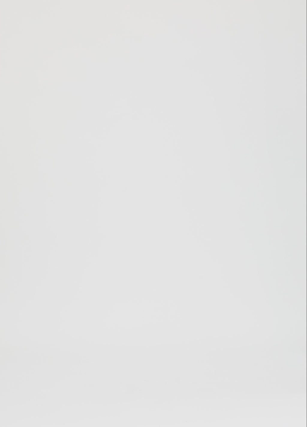 Coster Copenhagen LÄDERKJOL Skirt Bordeaux - 653