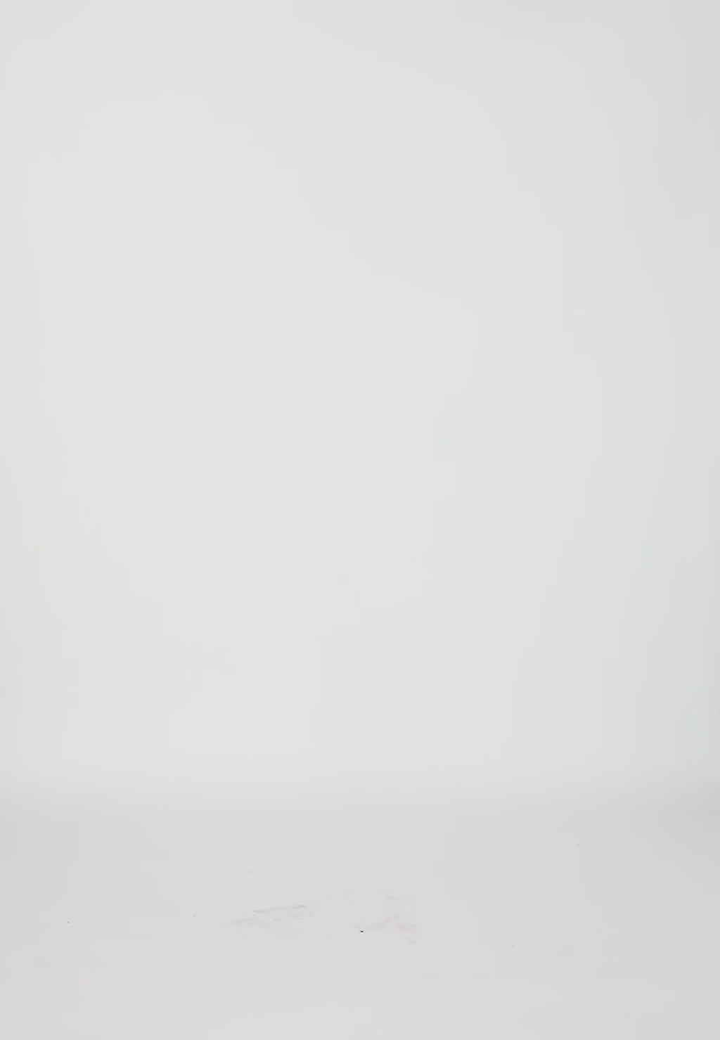 Coster Copenhagen VOLANGTOPP I BLOMMIG KANTTRYCK Shirt/Blouse Floral border print - 995