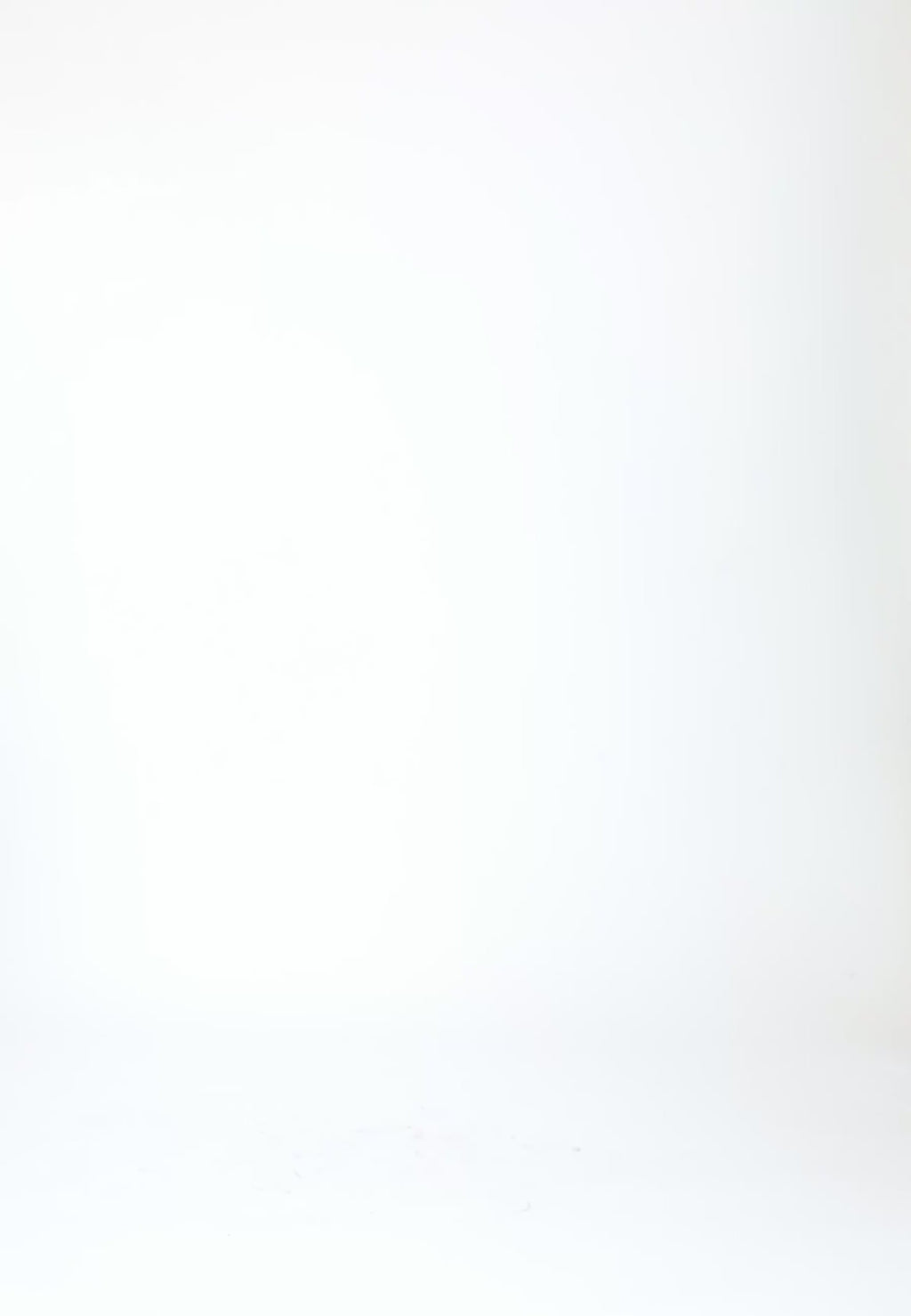 Coster Copenhagen GENOMSIKTIG SKJORTA MED BLOMMOR Shirt/Blouse Lime - 463