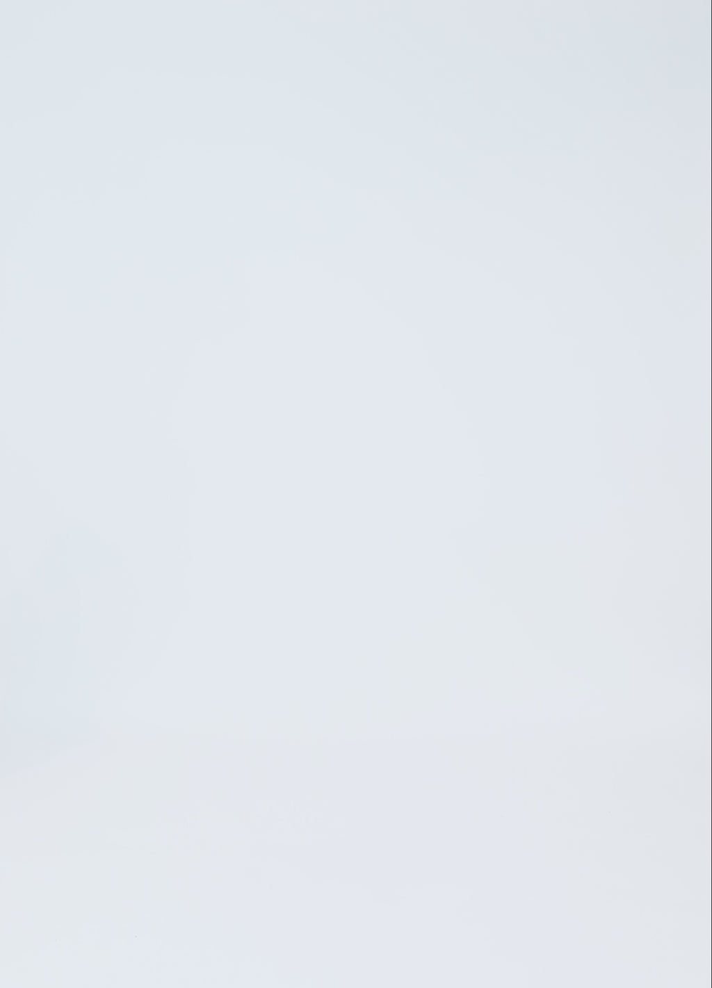 CC Heart CC HEART EVE MESH POLONÄCK Shirt/Blouse Off white glitter - 201