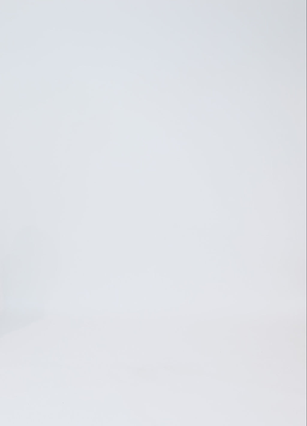 CC Heart CC HEART ALIZA SPETS LÅNGÄRMAD BLOUS Shirt/Blouse Black - 100