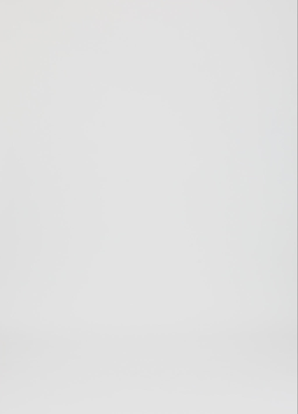 Coster Copenhagen SKJORTA MED VECK Shirt/Blouse White - 200