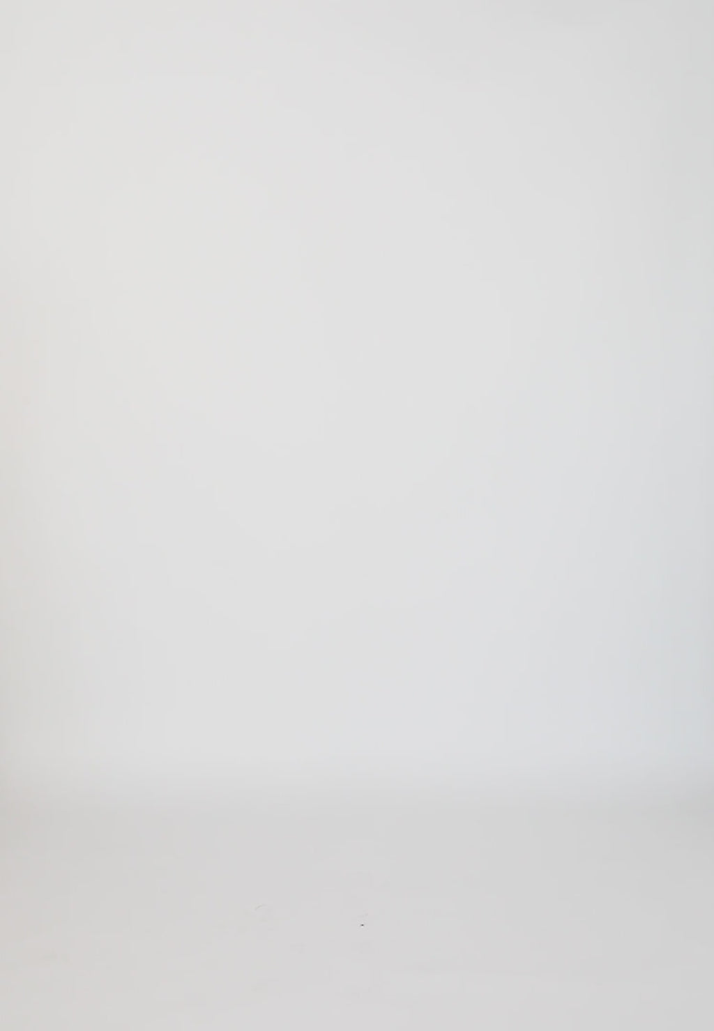 Coster Copenhagen TOPP MED VOLANGER Shirt/Blouse Moon rock - 137