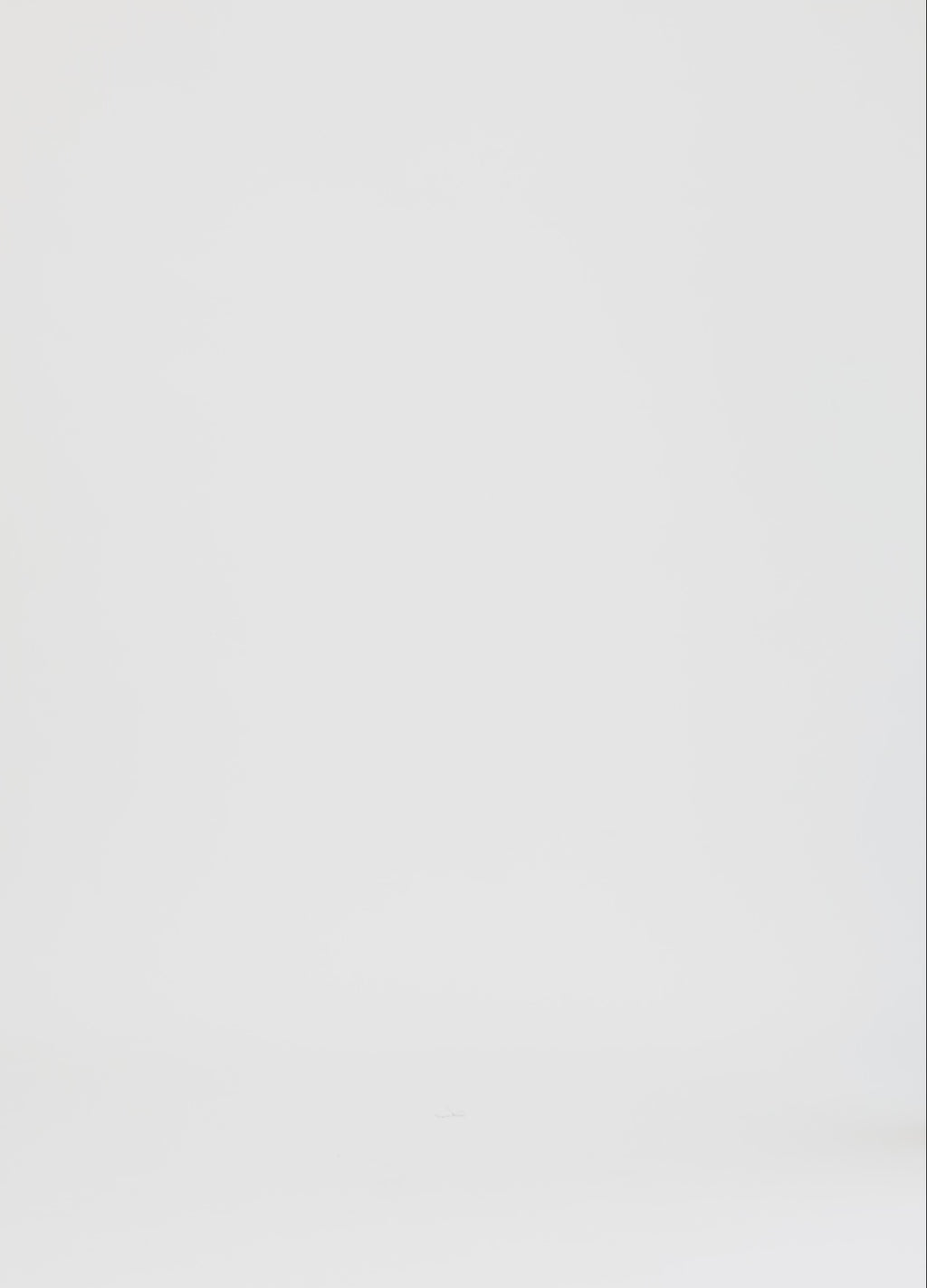 Coster Copenhagen T-SHIRT MED STRASSSTENAR Shirt/Blouse White - 200