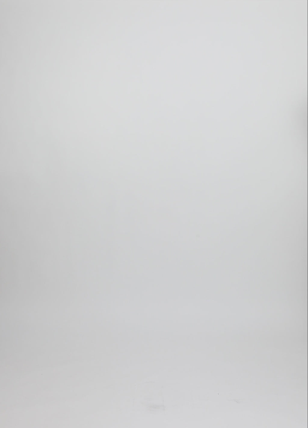 CC Heart CC HEART HAZEL VOLANGSKJORTA BLOUS Shirt/Blouse Creme - 241