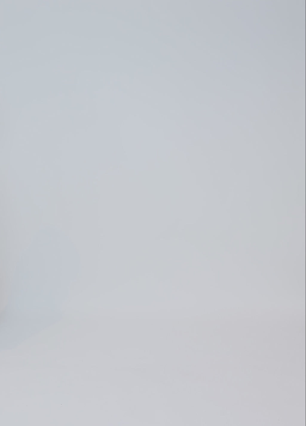 CC Heart CC HEART JAMIE FLEECE VÄST Vest Off White - 202